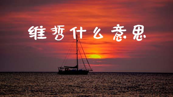维哲什么意思_https://www.fsyjjx.cn_期货资讯_第1张