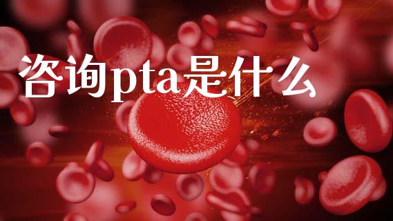 咨询pta是什么_https://www.fsyjjx.cn_期货在线_第1张