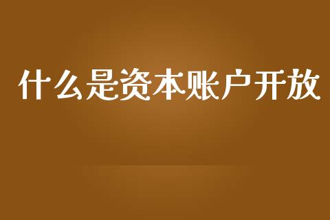 什么是资本账户开放_https://www.fsyjjx.cn_期货研报_第1张
