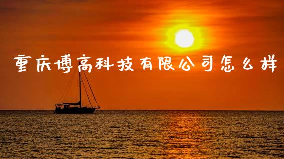 重庆博高科技有限公司怎么样_https://www.fsyjjx.cn_理财资讯_第1张