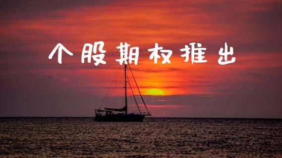 个股期权推出_https://www.fsyjjx.cn_期货资讯_第1张