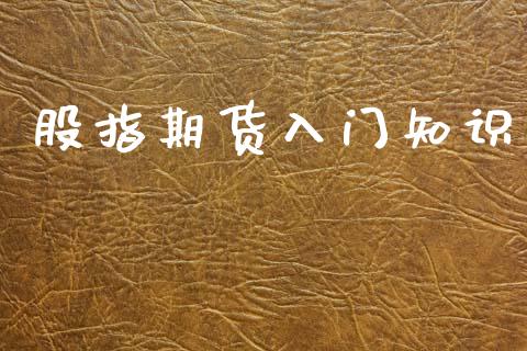 股指期货入门知识_https://www.fsyjjx.cn_期货研报_第1张