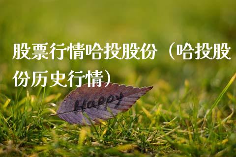 股票行情哈投股份（哈投股份历史行情）_https://www.fsyjjx.cn_股市分析_第1张