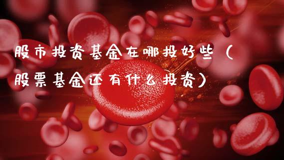 股市投资基金在哪投好些（股票基金还有什么投资）_https://www.fsyjjx.cn_理财资讯_第1张
