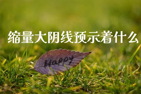 缩量大阴线预示着什么_https://www.fsyjjx.cn_期货资讯_第1张