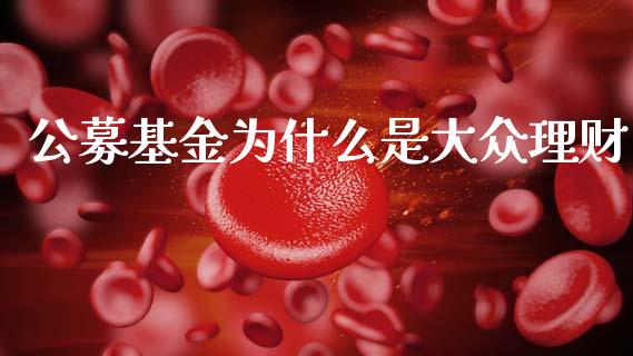 公募基金为什么是大众理财_https://www.fsyjjx.cn_问财精选_第1张