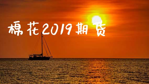 棉花2019期货_https://www.fsyjjx.cn_期货研报_第1张