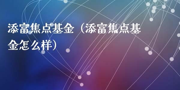 添富焦点基金（添富焦点基金怎么样）_https://www.fsyjjx.cn_问财精选_第1张
