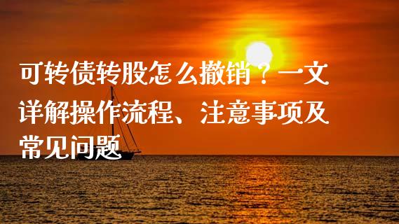 可转债转股怎么撤销？一文详解操作流程、注意事项及常见问题_https://www.fsyjjx.cn_期货研报_第1张