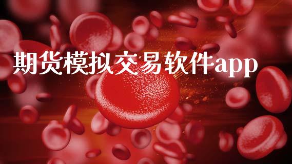 期货模拟交易软件app_https://www.fsyjjx.cn_期货研报_第1张