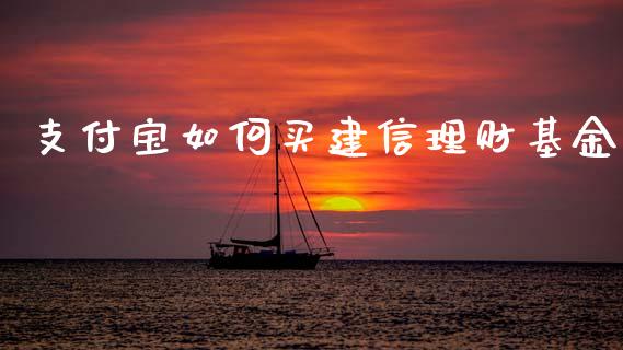 支付宝如何买建信理财基金_https://www.fsyjjx.cn_理财资讯_第1张