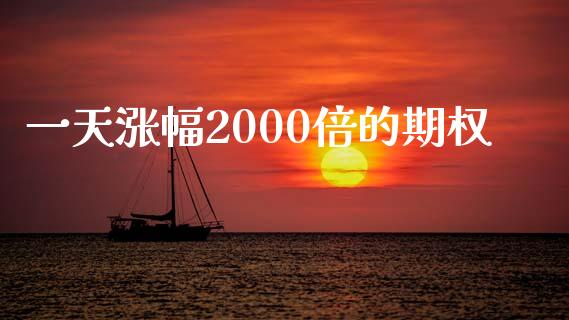 一天涨幅2000倍的期权_https://www.fsyjjx.cn_期货研报_第1张