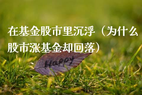在基金股市里沉浮（为什么股市涨基金却回落）_https://www.fsyjjx.cn_理财资讯_第1张