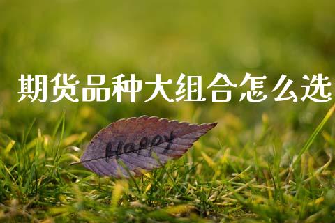 期货品种大组合怎么选_https://www.fsyjjx.cn_期货资讯_第1张