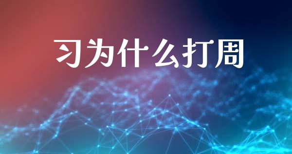 习为什么打周_https://www.fsyjjx.cn_期货资讯_第1张