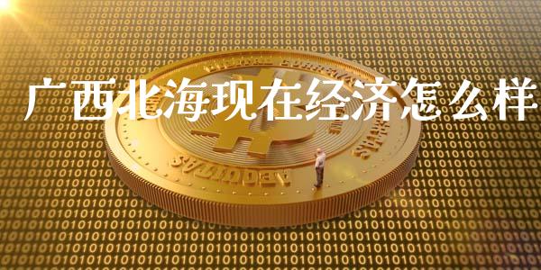 广西北海现在经济怎么样_https://www.fsyjjx.cn_股票指导_第1张