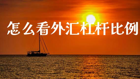 怎么看外汇杠杆比例_https://www.fsyjjx.cn_期货资讯_第1张