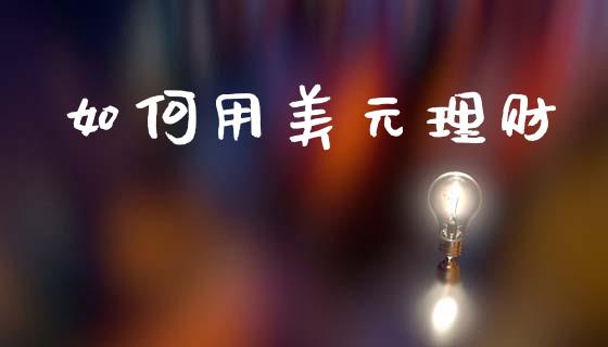 如何用美元理财_https://www.fsyjjx.cn_股指期货_第1张