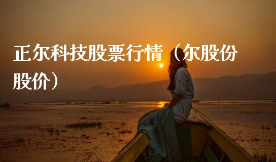 正尔科技股票行情（尔股份股价）_https://www.fsyjjx.cn_股票指导_第1张