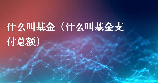 什么叫基金（什么叫基金支付总额）_https://www.fsyjjx.cn_问财精选_第1张