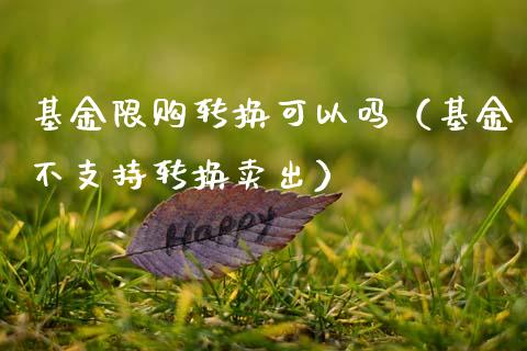 基金限购转换可以吗（基金不支持转换卖出）_https://www.fsyjjx.cn_理财资讯_第1张