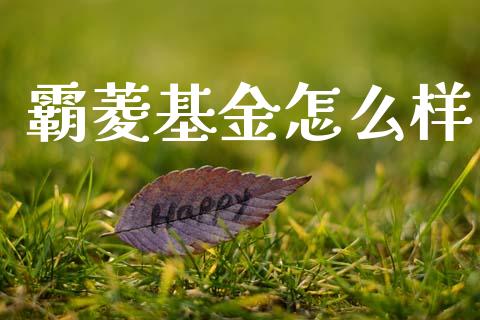 霸菱基金怎么样_https://www.fsyjjx.cn_期货资讯_第1张