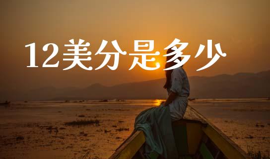 12美分是多少_https://www.fsyjjx.cn_股市分析_第1张
