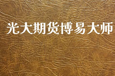 光大期货博易大师_https://www.fsyjjx.cn_期货研报_第1张