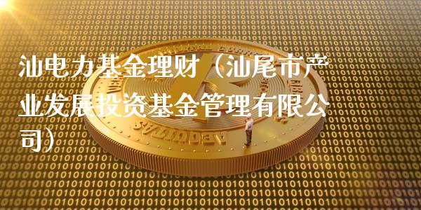 汕电力基金理财（汕尾市产业发展投资基金管理有限公司）_https://www.fsyjjx.cn_理财资讯_第1张