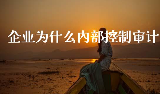 企业为什么内部控制审计_https://www.fsyjjx.cn_期货在线_第1张
