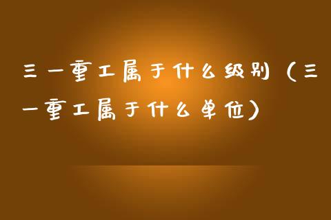 三一重工属于什么级别（三一重工属于什么单位）_https://www.fsyjjx.cn_股市分析_第1张