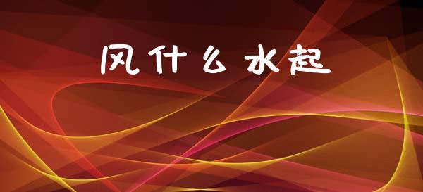风什么水起_https://www.fsyjjx.cn_股票指导_第1张