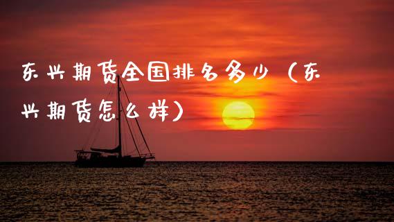 东兴期货全国排名多少（东兴期货怎么样）_https://www.fsyjjx.cn_股指期货_第1张