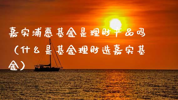 嘉实浦惠基金是理财产品吗（什么是基金理财选嘉实基金）_https://www.fsyjjx.cn_理财资讯_第1张