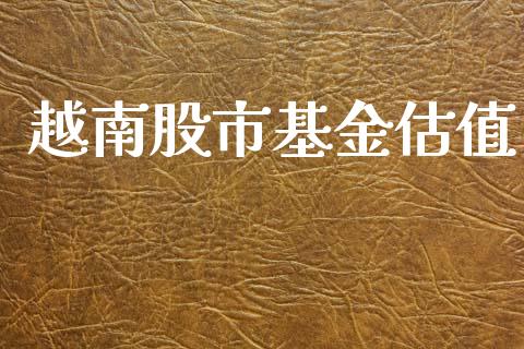 越南股市基金估值_https://www.fsyjjx.cn_理财资讯_第1张