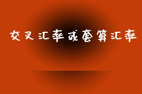 交叉汇率或套算汇率_https://www.fsyjjx.cn_期货资讯_第1张