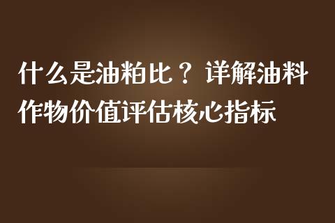 什么是油粕比？ 详解油料作物价值评估核心指标_https://www.fsyjjx.cn_期货资讯_第1张