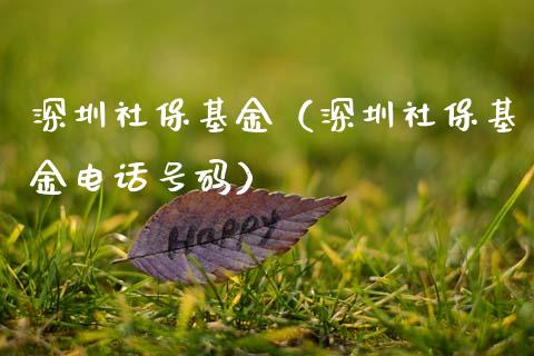 深圳社保基金（深圳社保基金电话号码）_https://www.fsyjjx.cn_理财资讯_第1张