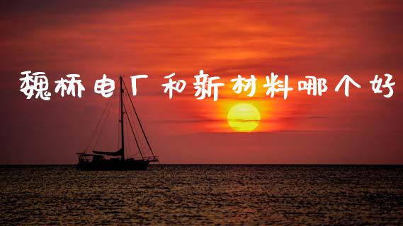 魏桥电厂和新材料哪个好_https://www.fsyjjx.cn_理财资讯_第1张