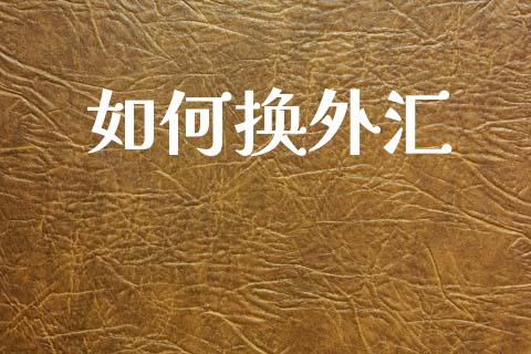 如何换外汇_https://www.fsyjjx.cn_期货研报_第1张