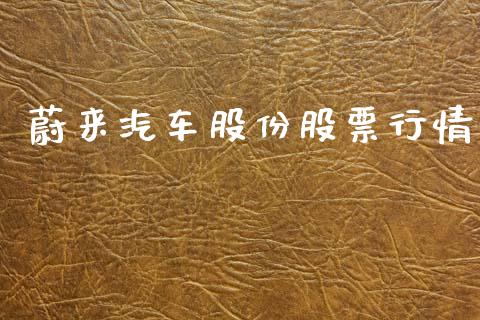 蔚来汽车股份股票行情_https://www.fsyjjx.cn_股票指导_第1张