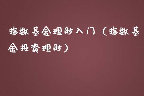 指数基金理财入门（指数基金投资理财）_https://www.fsyjjx.cn_理财资讯_第1张