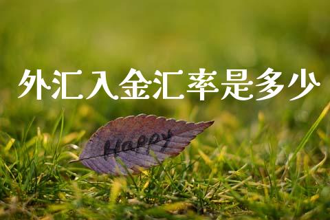 外汇入金汇率是多少_https://www.fsyjjx.cn_期货资讯_第1张
