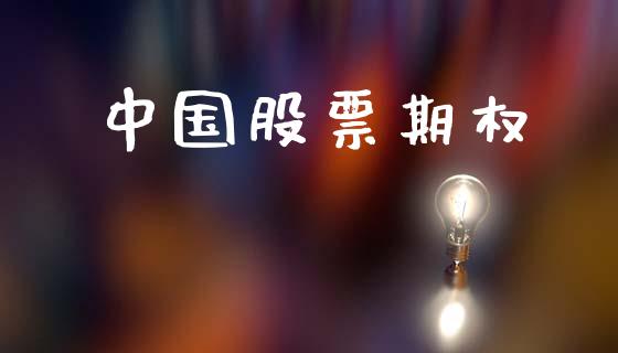 中国股票期权_https://www.fsyjjx.cn_股指期货_第1张
