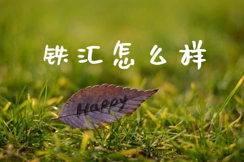 铁汇怎么样_https://www.fsyjjx.cn_股指期货_第1张