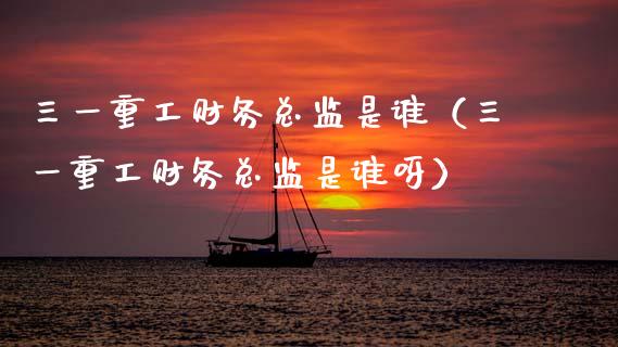 三一重工财务总监是谁（三一重工财务总监是谁呀）_https://www.fsyjjx.cn_股票指导_第1张