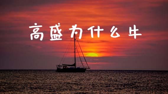 高盛为什么牛_https://www.fsyjjx.cn_期货资讯_第1张