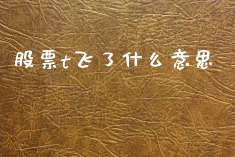 股票t飞了什么意思_https://www.fsyjjx.cn_期货在线_第1张