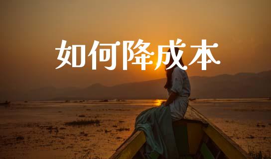 如何降成本_https://www.fsyjjx.cn_股票指导_第1张