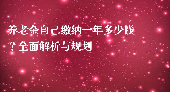 养老金自己缴纳一年多少钱？全面解析与规划_https://www.fsyjjx.cn_期货研报_第1张